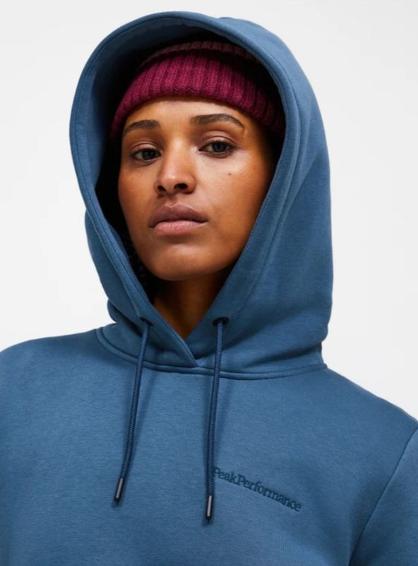 W Original Small Logo Hood Mountain Lake